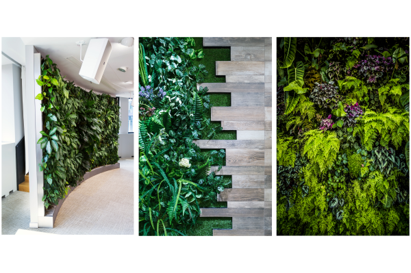 Home - Living Plant Wall Revit